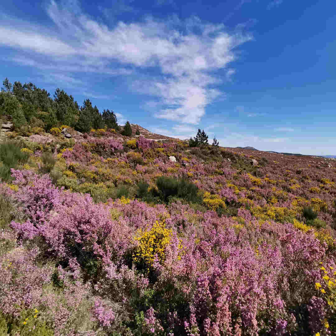 Entdecke die Serra da Arada portugal the offline hotel