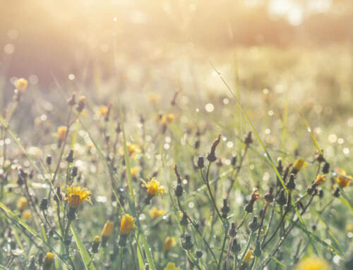 Was passiert, wenn das WLAN verstummt?