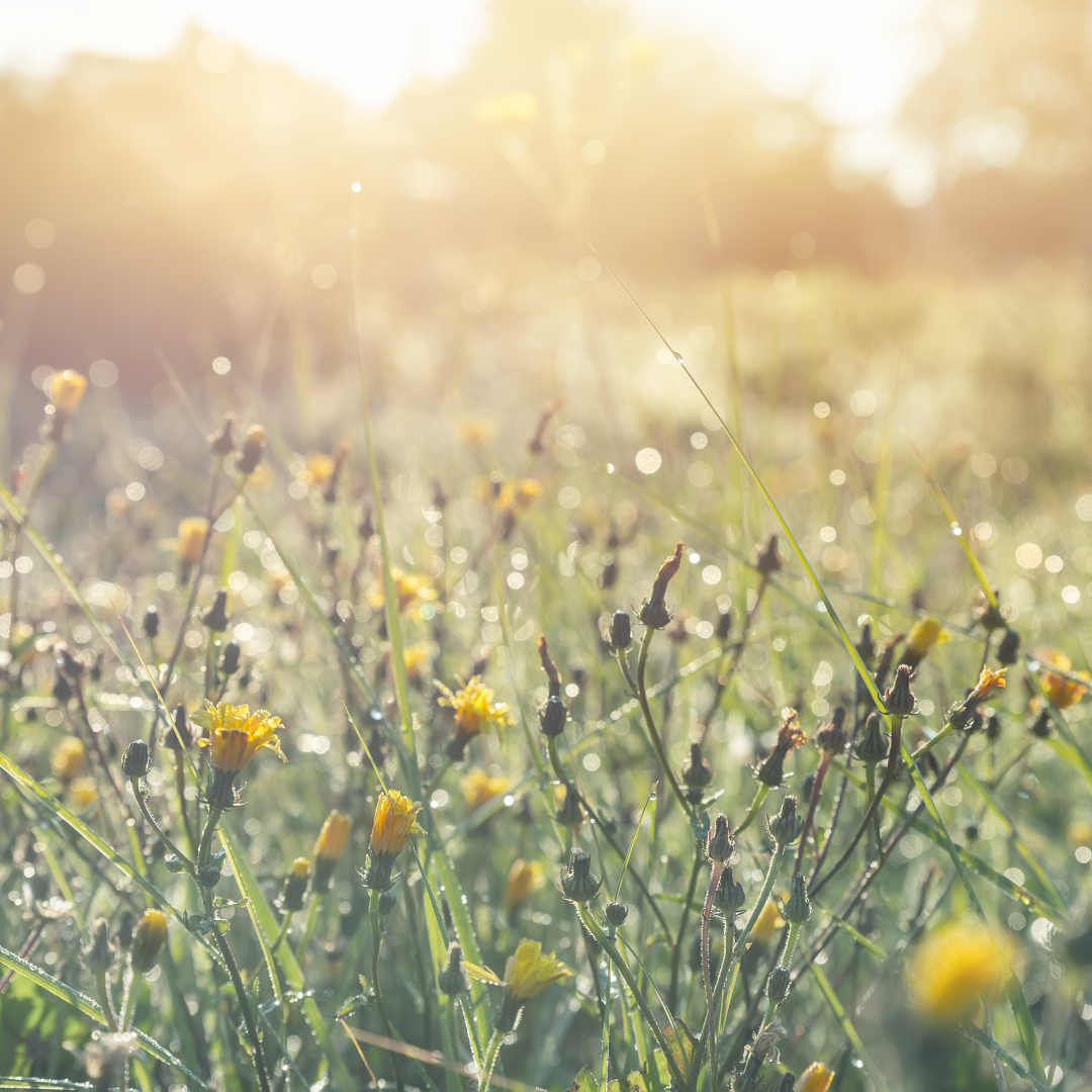 Was passiert, wenn das WLAN verstummt