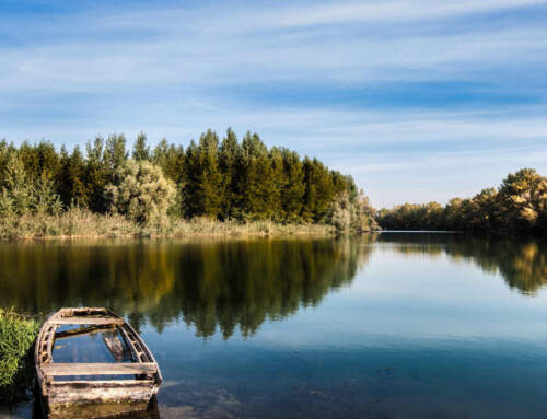 Digital Detox als Antwort auf Dauererreichbarkeit