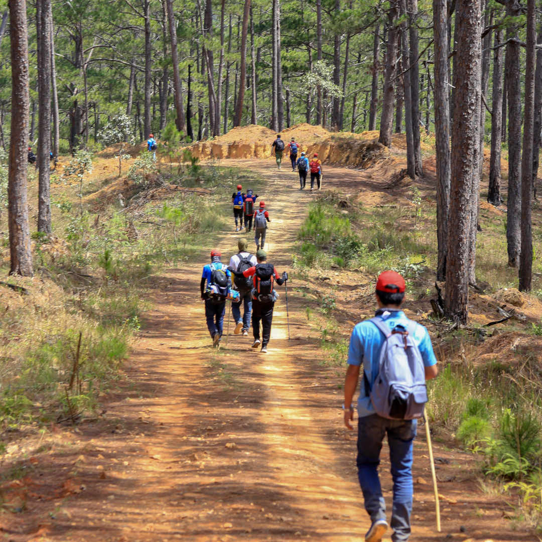 Konzept The Offline Hotel Workshops Retreats in Portugal Digital Detoxing, Sober Life, Erholung