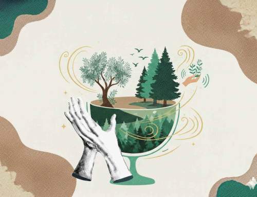 Woche 6: Was die Stille erzählt