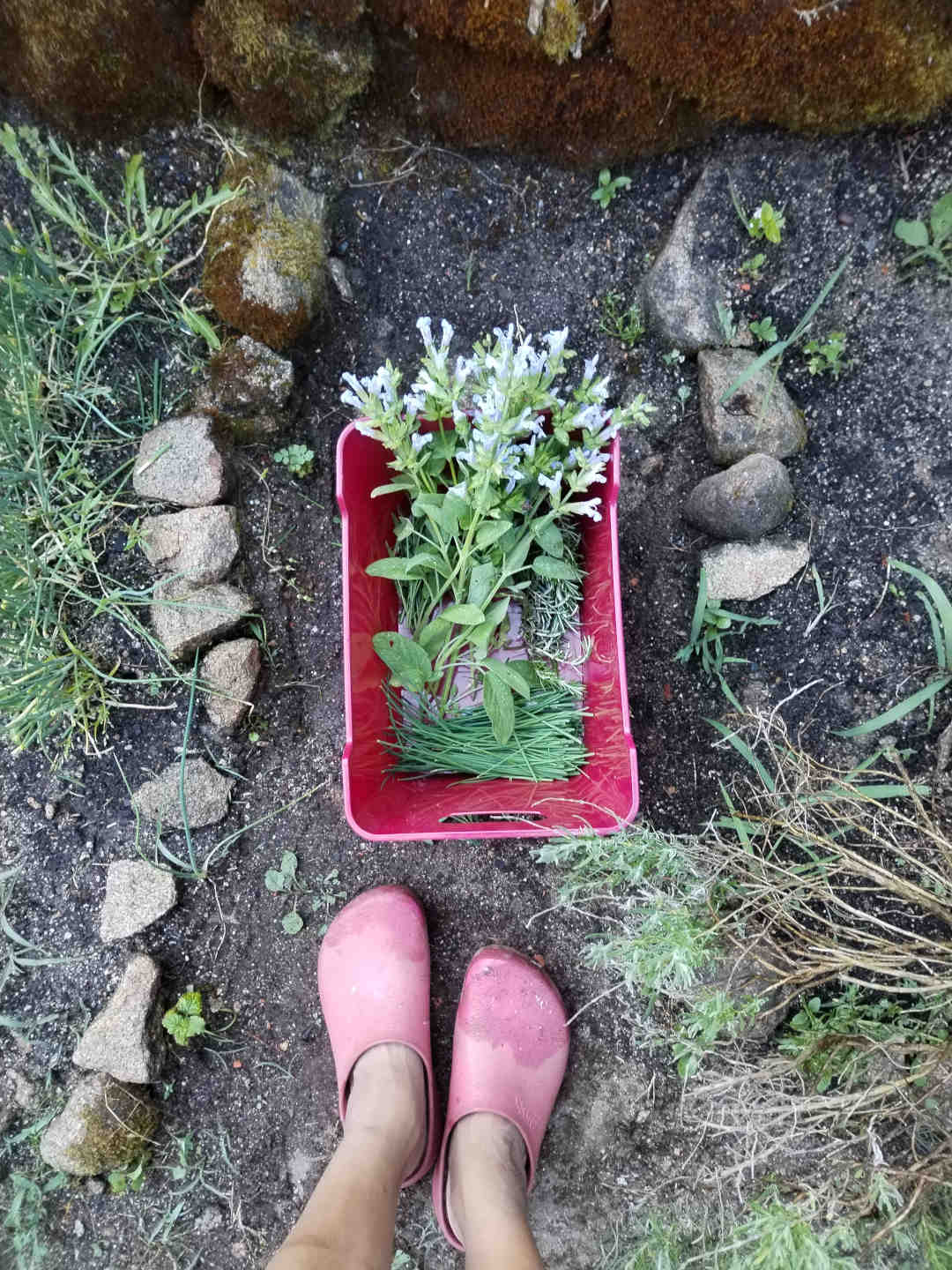 Offline to go – kleine Tricks und Tipps für den Alltag blumen Offline to go – kleine Tricks und Tipps für den Alltag blumen