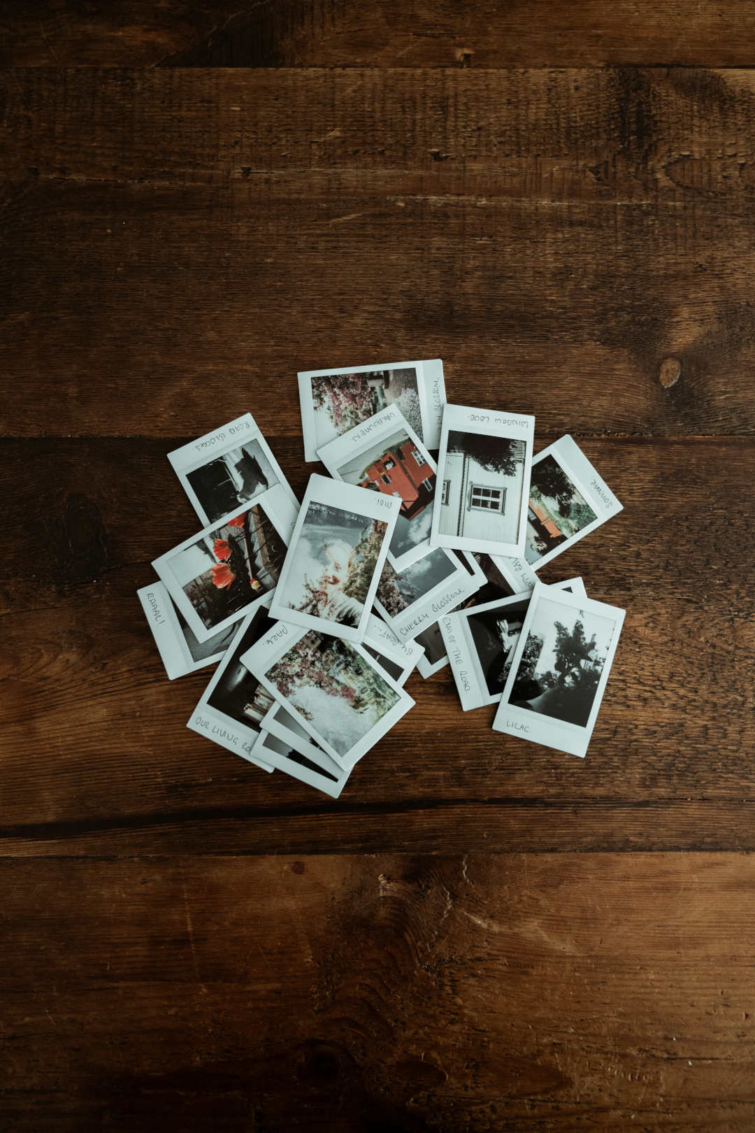 annie-spratt-Offline to go – kleine Tricks und Tipps für den Alltag Bilder